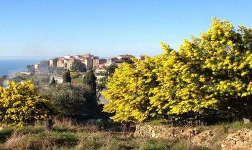 Seborga; domenica appuntamento con 'La Caccia al tesoro delle Bandiere Arancioni'