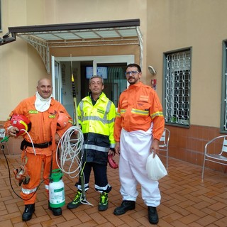 Vallecrosia: è operativa la nuova squadra della protezione civile specializzata contro le vespe velutine