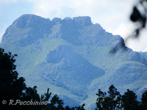 Sacchi della spazzatura abbandonati nel tratto di strada San Romolo - Monte Bignone, la segnalazione di un lettore