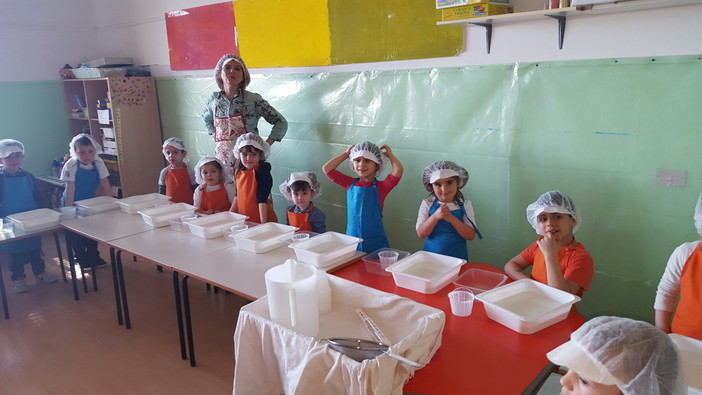 Sanremo: il formaggio si fa in classe, ecco al lavoro i piccoli casari della Scuola Infanzia di Poggio (foto)