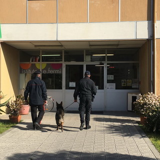 ‘Scuole sicure’: blitz dei Carabinieri di Ventimiglia e del nucleo cinofili di Villanova d’Albenga