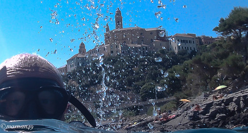 Un'immersione davanti a Cervo: la natura sottacqua fotografata da Marcello Nan