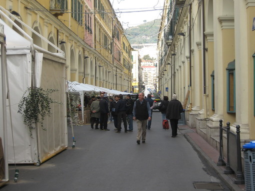 Imperia: scatta domani l'appuntamento più atteso, al via 'Olioliva 2010'