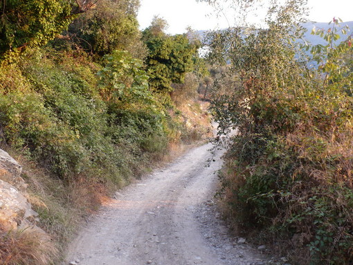 La strada di Croce della Parà