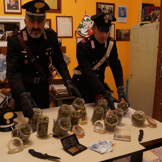 Vallebona: mezzo chilo di marijuana in barattoli di vetro, Carabinieri di Ventimiglia arrestano coltivatore 28enne