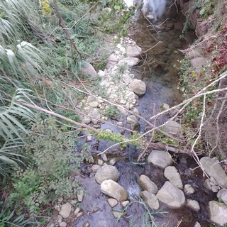 Sanremo: rami e sterpaglie a monte del torrente San Martino, la segnalazione con foto di una lettrice