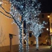 Luminarie, spettacoli, presepe e mercatini: Santo Stefano al Mare illumina il Natale (Foto)