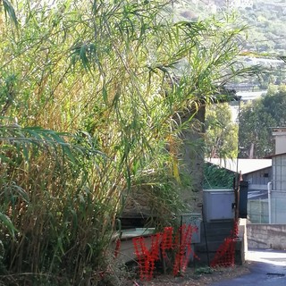 Sanremo, la denuncia del Sinappe: &quot;La strada che porta al carcere di valle Armea è a forte rischio&quot; (foto)