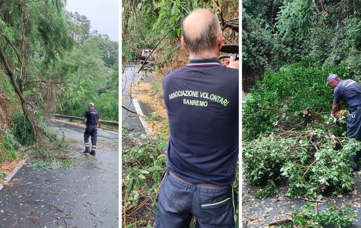 Sanremo: il maltempo fa crollare una serie di alberi sulla strada per San Romolo (Foto)