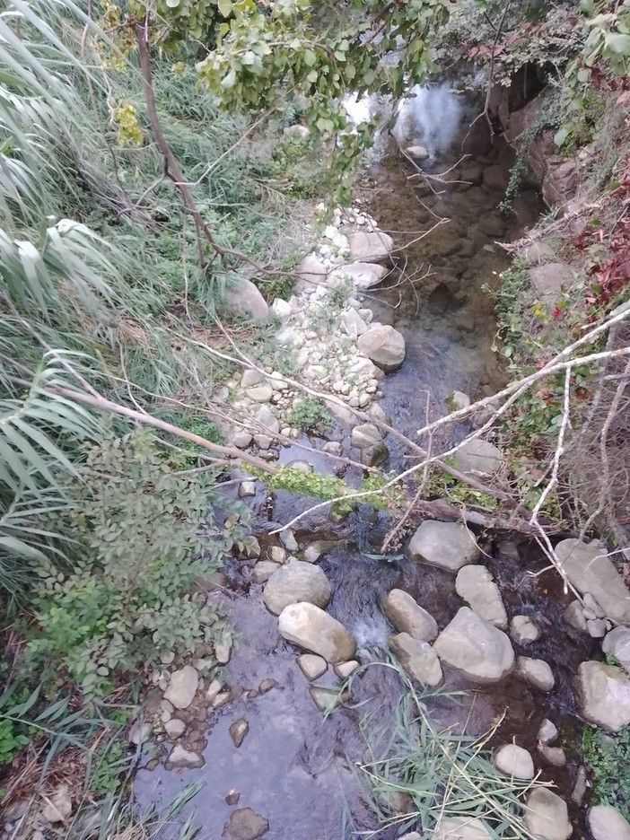 Sanremo: rami e sterpaglie a monte del torrente San Martino, la segnalazione con foto di una lettrice