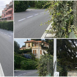 Una siepe di troppo in via Gavi a Imperia, trappola per i pedoni (foto)