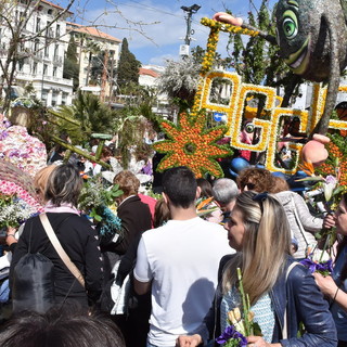 SanremoInFiore 2025: mezzo milione di euro, ecco l'investimento del Comune per i carri fioriti di marzo