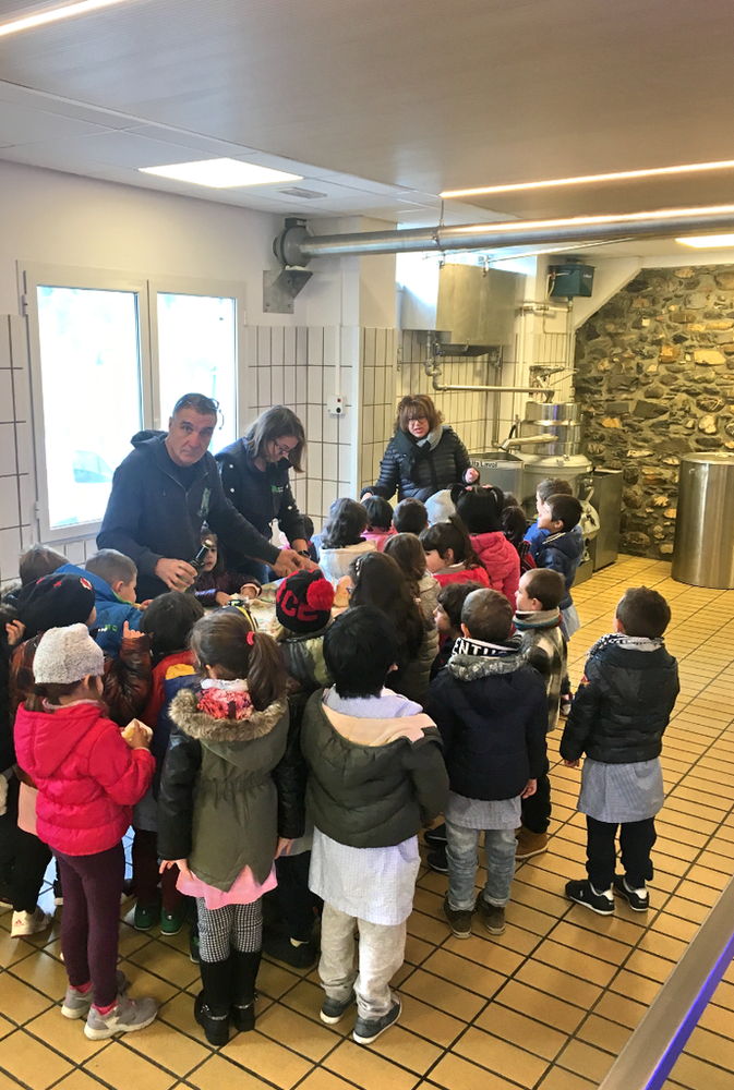 Imperia: gli alunni della scuola dell’infanzia di via Armelio in visita al frantoio ‘Ramoino’ di Borgo D’Oneglia