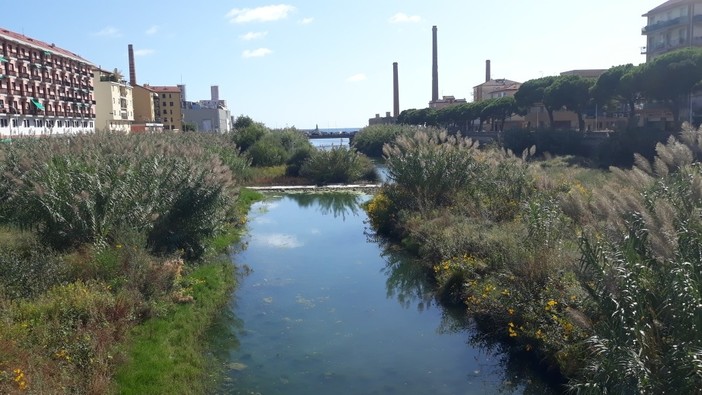 Imperia: ecco il video del Torrente Impero dopo le forti piogge di stamattina