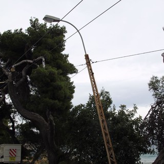 Tralicci della Riviera Trasporti inutilizzati e a rischio cedimento: scatta il piano d'azione del Comune di Sanremo