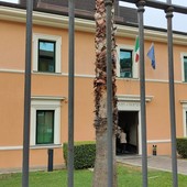 Bimbo picchiato a Ventimiglia, incidente probatorio: secretato l'interrogatorio del piccolo (video)