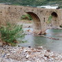 Taggia: tronco d'albero incastrato da mesi nel torrente Argentina, la segnalazione con foto di un lettore