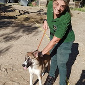 Sanremo: Tequila, un cucciolo di 6 mesi, recuperato dalle guardie zoofile dei Rangers D’Italia durante un servizio di controllo ambientale