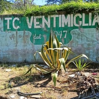 Ventimiglia, sgomberato il tennis club di Peglia. Di Muro: &quot;Struttura ormai fatiscente e pericolosa&quot;