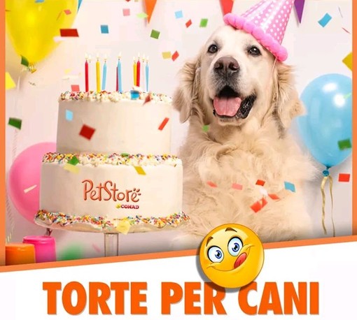 Il compleanno del nostro amico a 4 zampe? Adesso anche lui ha la sua torta !