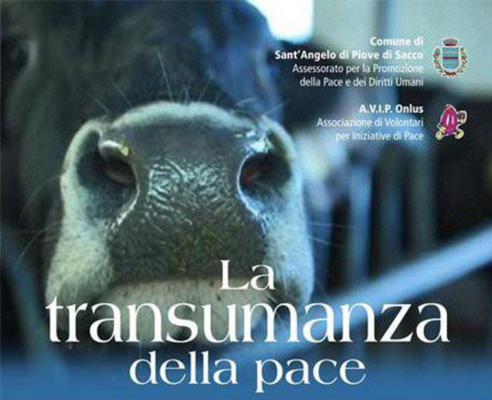 Vallecrosia: domani la proiezione del documentario &quot;La transumanza della pace&quot;