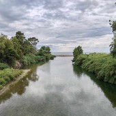 Camporosso, tutela dell'ambiente: al via la pulizia del torrente Nervia (Foto)