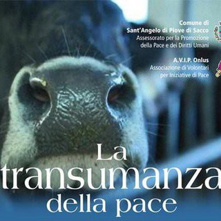 Vallecrosia: domani la proiezione del documentario &quot;La transumanza della pace&quot;