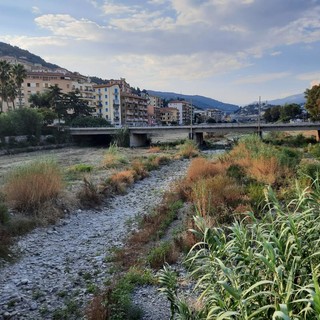 Imperia, il sindaco ordina monitoraggio delle alberature, pulizia tombini e corsi d'acqua. Scajola: &quot;Autunno a rischio di piogge eccezionali&quot;