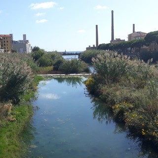 Imperia: ecco il video del Torrente Impero dopo le forti piogge di stamattina