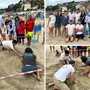 Una tartaruga marina ha deposto delle uova ad Arma di Taggia, è il primo caso nella Riviera di Ponente (Foto)
