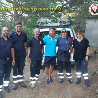 Imperia: dipendente di impresa agricola punto da vespa velutina e curato in pronto soccorso