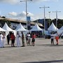 Da oggi Imperia è la capitale degli yacht d’epoca, riflettori accesi sulle signore del mare (Foto)