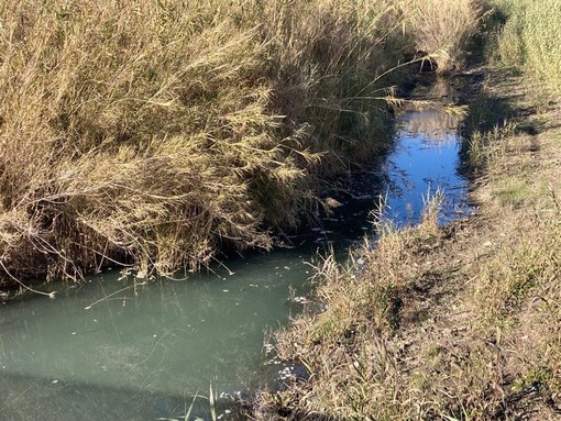 Torrenti del Dianese da ripulire e mettere in sicurezza