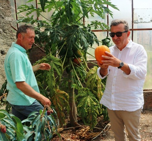 Pierangelo Fazio con Vito nella serra