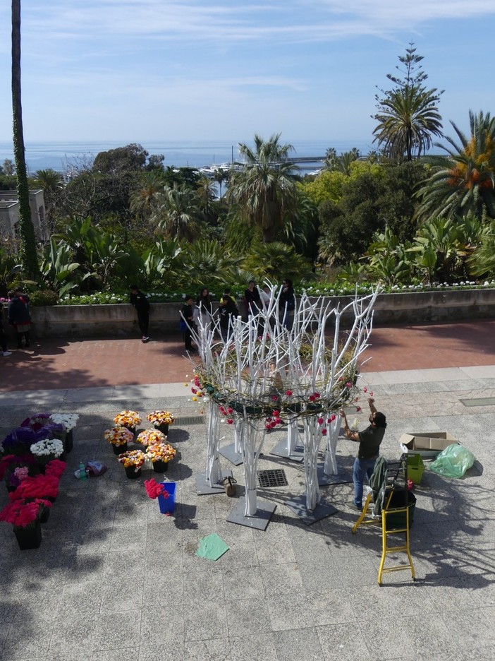 Sanremo: Villa Ormond in Fiore, tutto pronto per l'esposizione delle opere in programma nel weekend