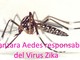 Virus Zika: c'è davvero da aver paura?