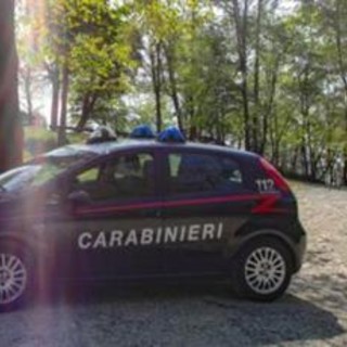 Varese, trovato cadavere in un bosco a Luino: nessuna pista esclusa