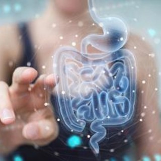 Infarto e ictus possono arrivare dall'intestino: la scoperta italiana