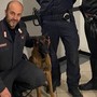 Omicidio Roberto Guerrisi, ritrovata l'arma del delitto grazie al fiuto del cane Cooper