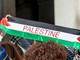 Studenti pro Palestina, Viminale: &quot;Particolare attenzione a infiltrati in atenei&quot;