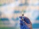 Chikungunya, via libera Ema al vaccino per uso in Ue dai 18 anni in su