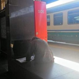 Uccidono cane di un clochard a Ponte Galeria: ecco cosa rischiano