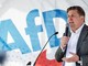 Germania, frase sulle SS: Afd vieta eventi pubblici al candidato di punta Krah