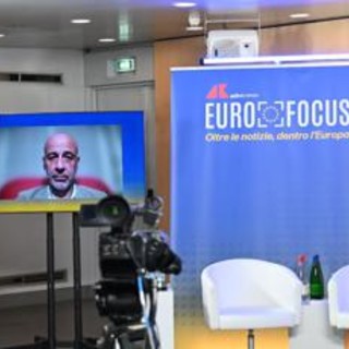 Europee: Nalli (Suzuki Italia), '2035 vissuto quale imposizione, decisione politica'