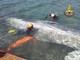 Talamone, recuperato il corpo della balenottera morta nel porto