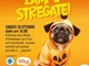 Taggia: al Pet Store di Arma sfilata di Halloween dedicata ai nostri amici a 4 zampe