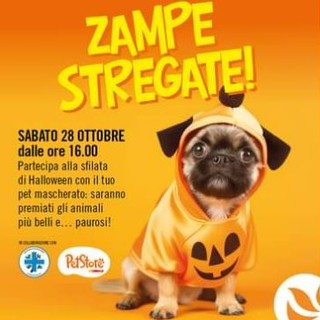 Taggia: al Pet Store di Arma sfilata di Halloween dedicata ai nostri amici a 4 zampe